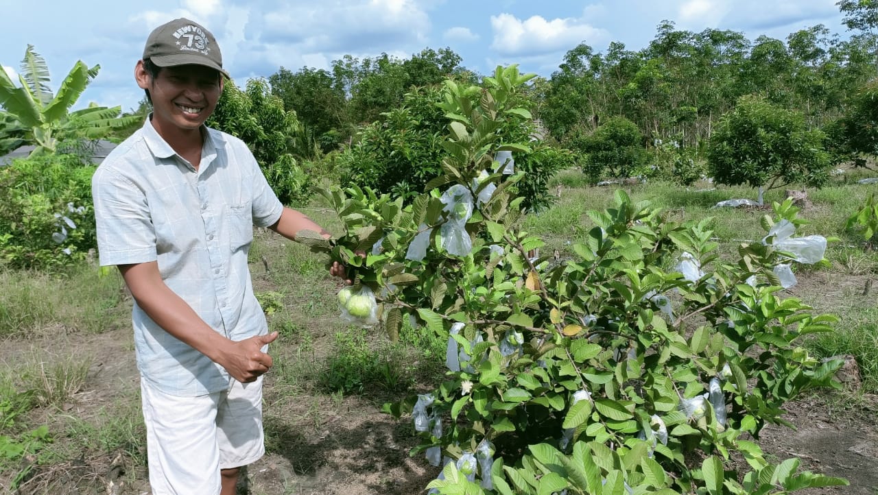 Bisa Dipetik Sendiri Berikut Buah yang Ada di Agrowisata PALI