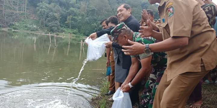 Bupati Karo tabur bibit ikan nila