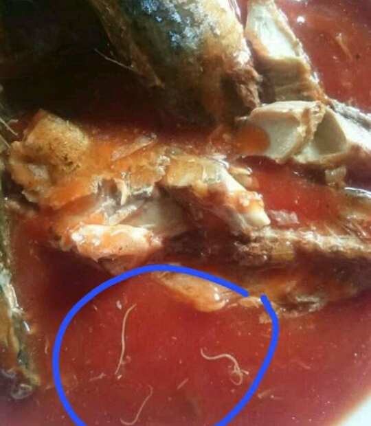 Tampak Cacing yang berada dalam sarden