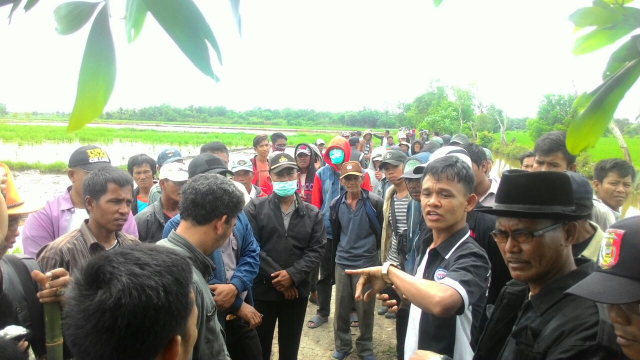 Kondisi Lahan Sawah Seluas kurang Lebih 60 Hektar