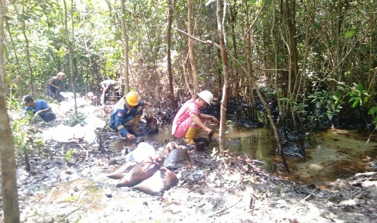 Tampak Pipa Pertamina Yang mencemari Sungai