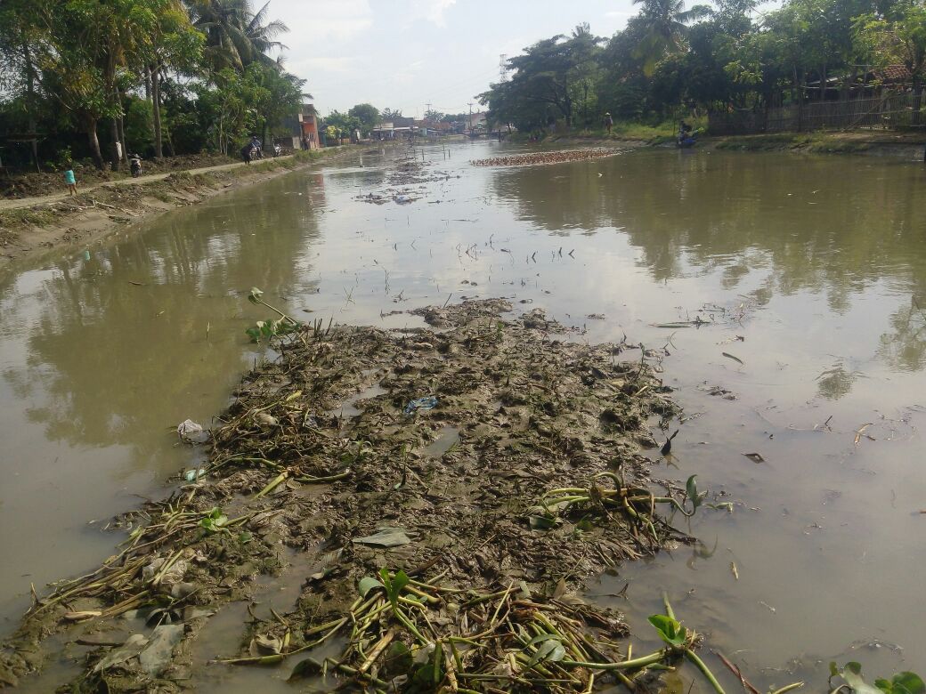 Tampak Lokasi yang di Normalisasi