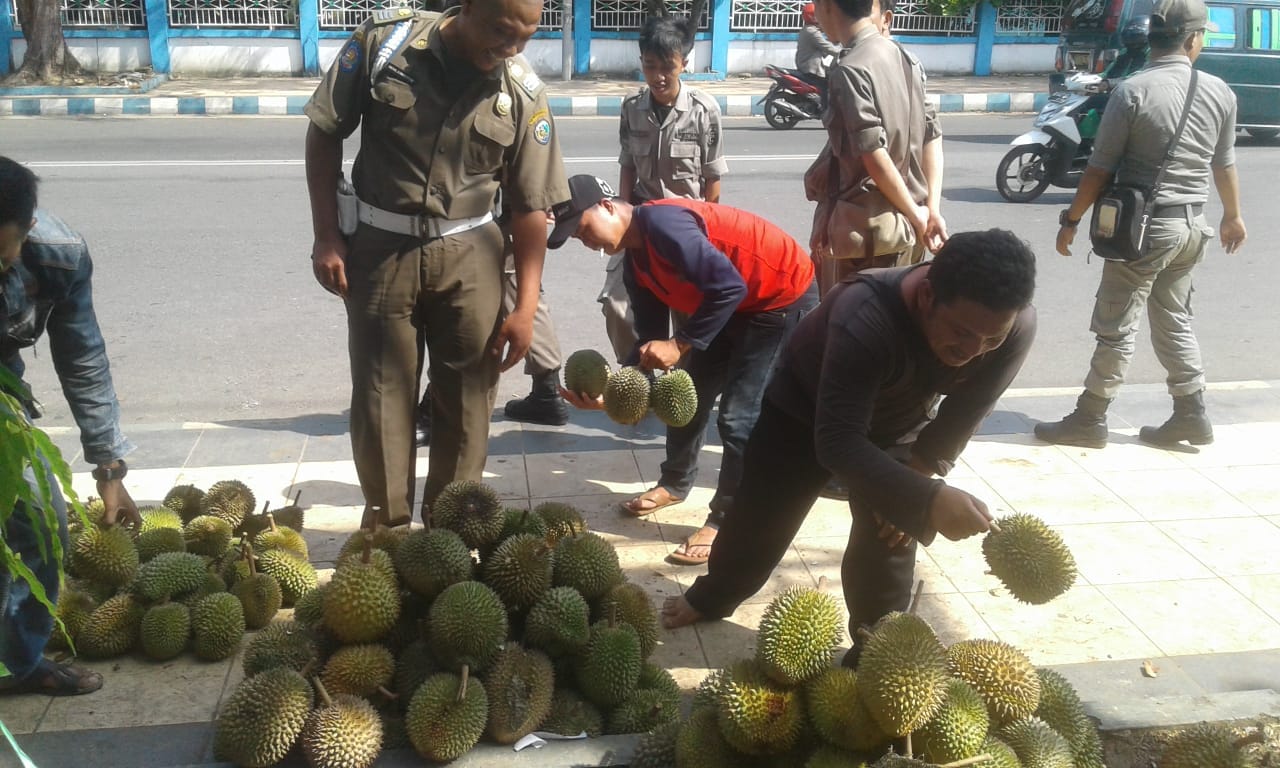 Tampak Satpol PP Kota Bengkulu Menertibkan Pedagang Durian
