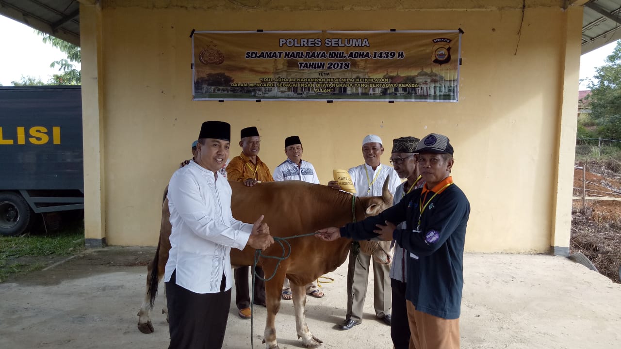 Penyerahan Hewan Kurban