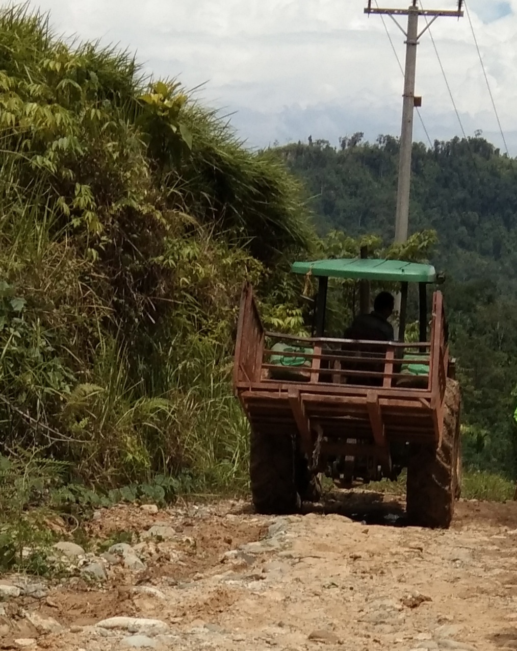 Tampak Jonder Melintasi Jalan