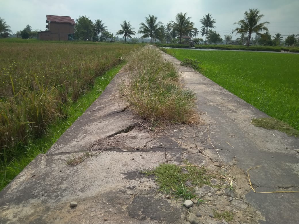 Kondisi Jalan