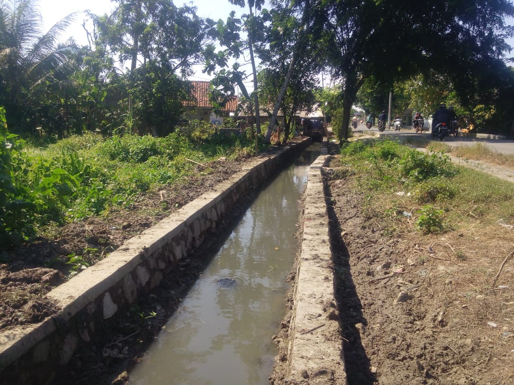 Tampak