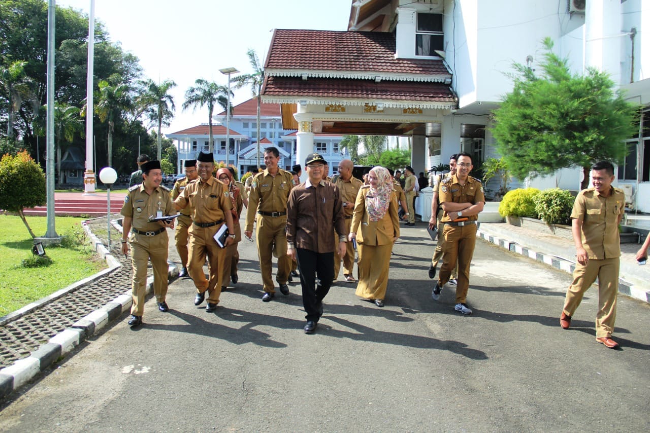 Tampak