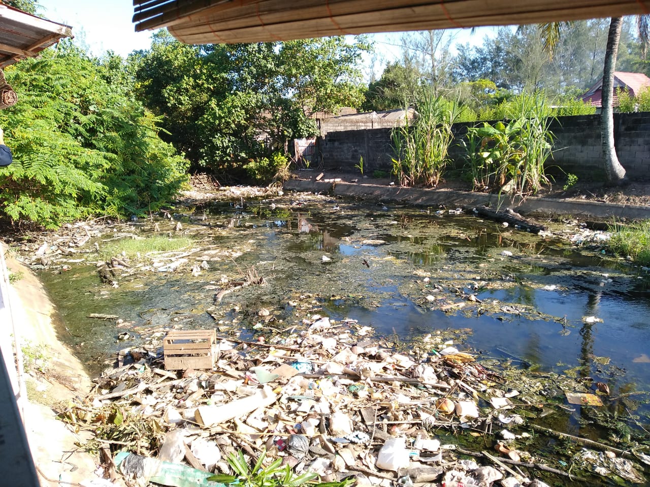 Tampak