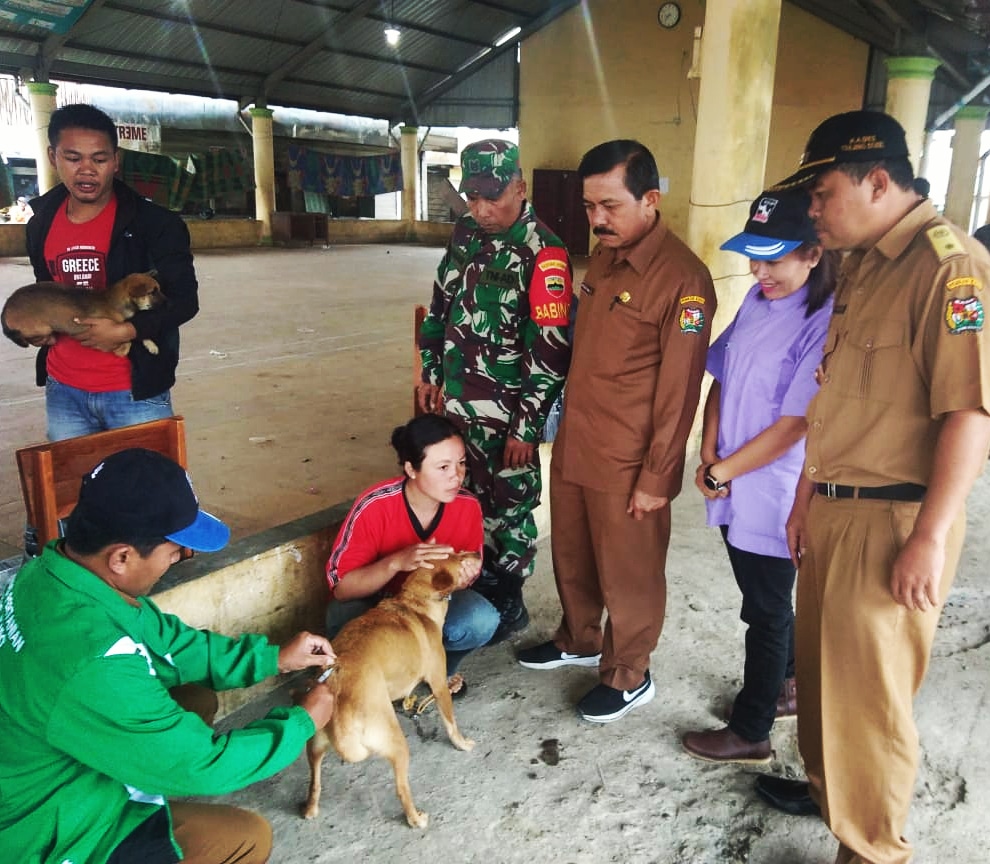 Vaksinasi Rabies Serentak Di Karo