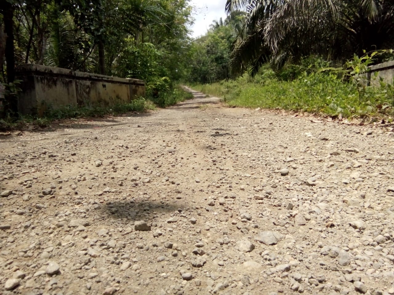 Jalan Desa Arga Mulya Butuh Perhatian