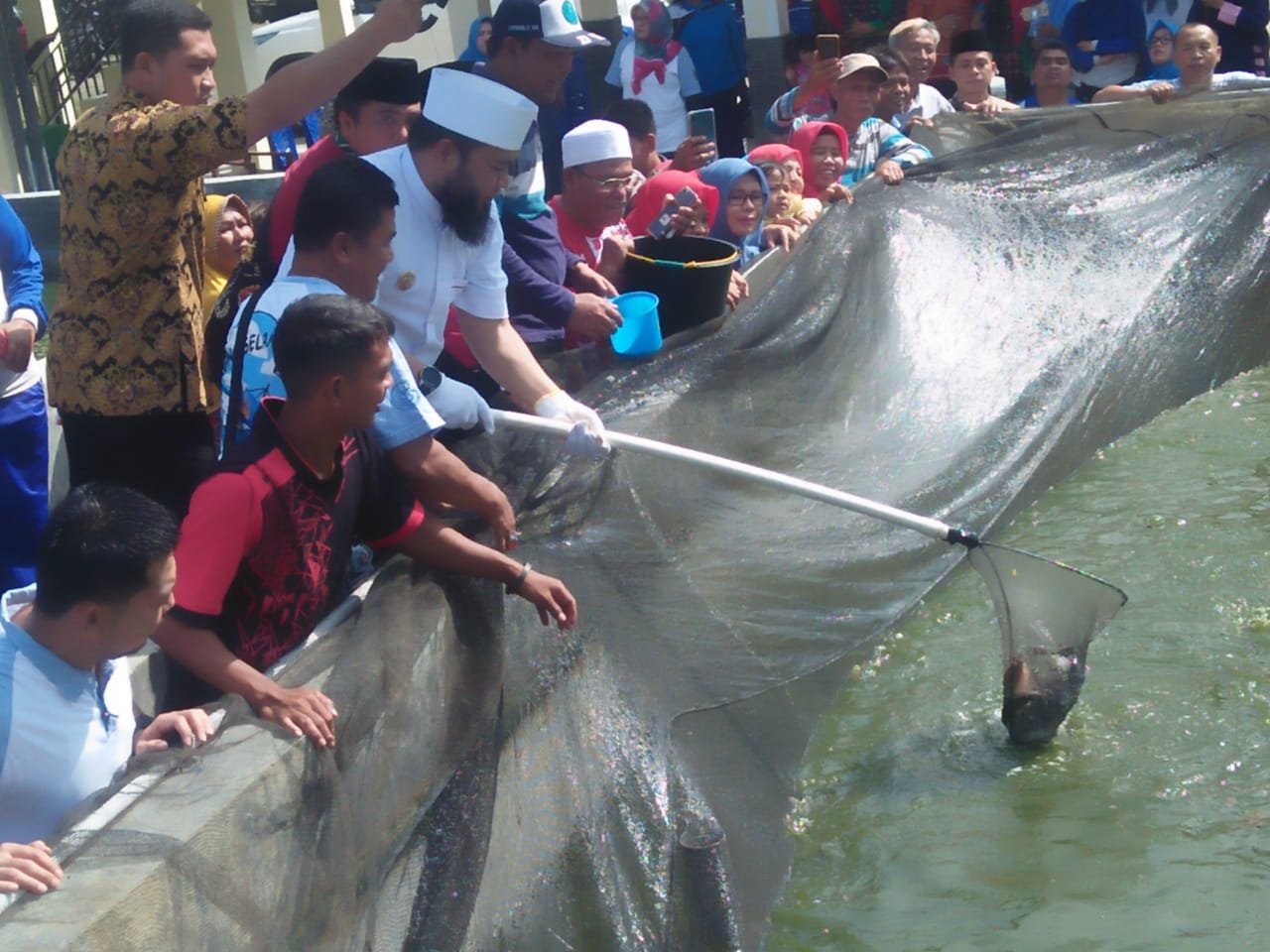 DKP Kota Bengkulu Panen Perdana Program Sejuta Ikan