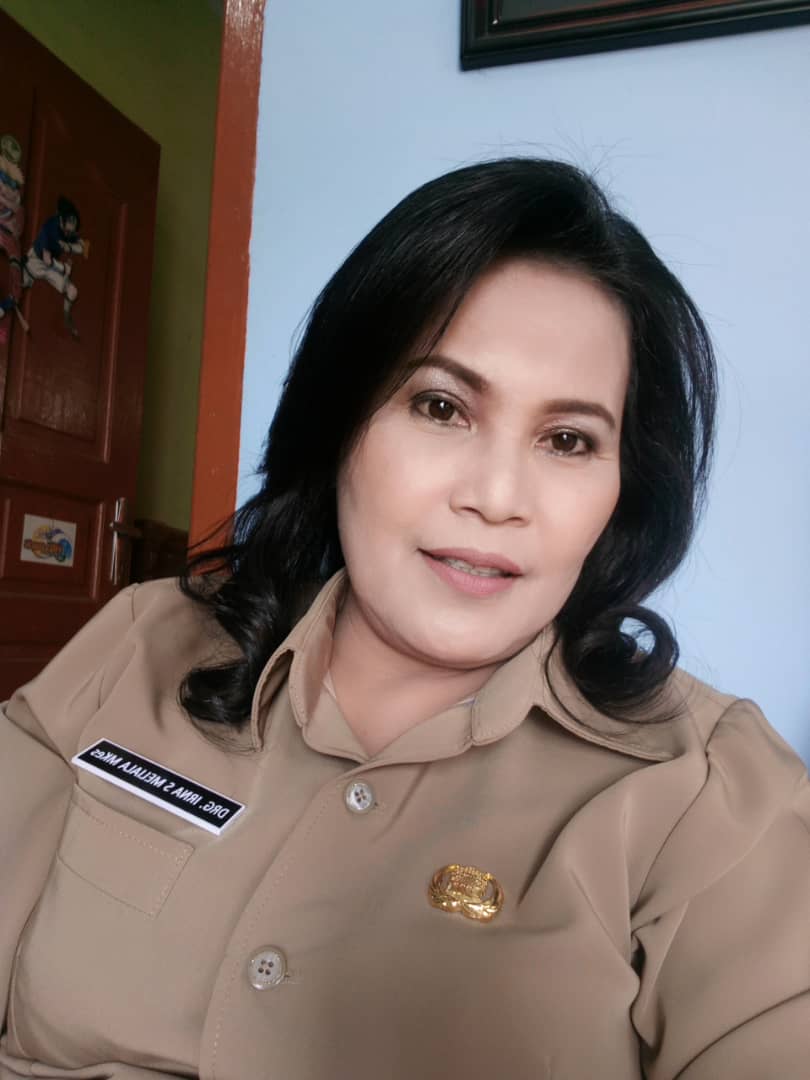 Pemkab Karo Pantau Penyebaran Virus Corona