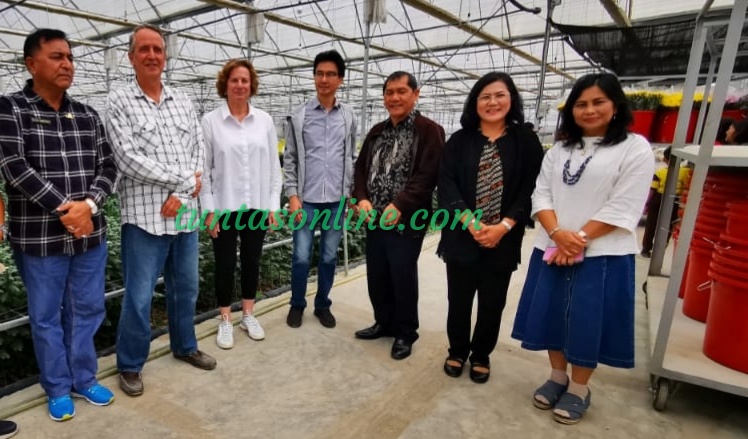 meninjau Green house Bunga Krisan