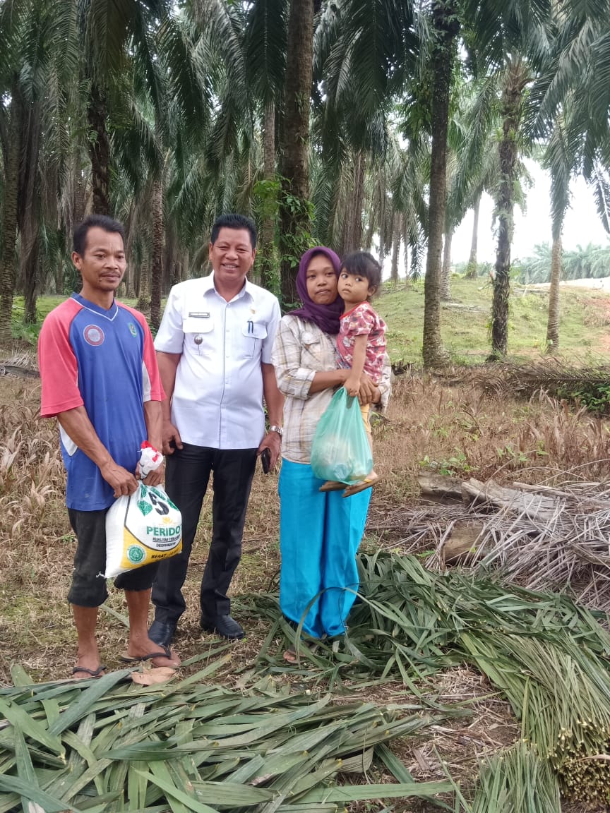 Camat Rantau Utara Blusukan ke Perkebunan Sawit