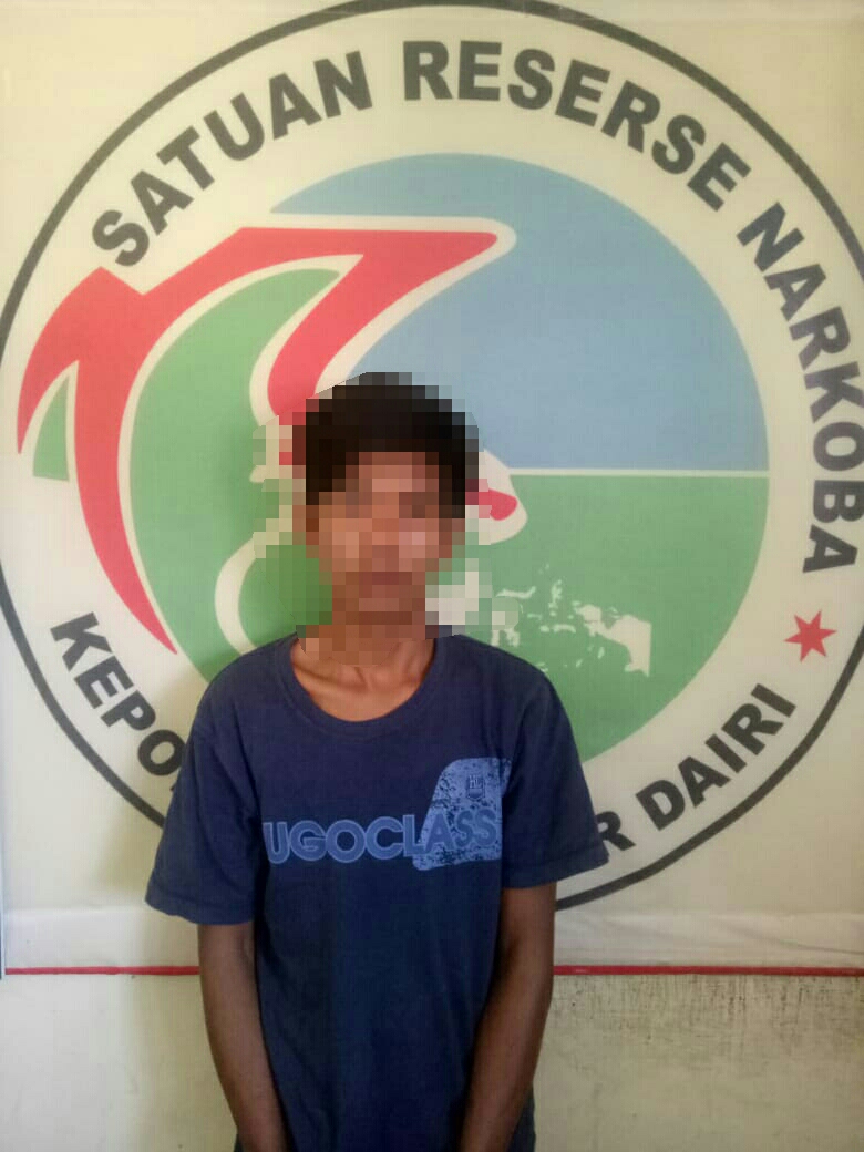 Tersangka WEB (26) warga jalan Jamin Ginting gang Karya nomor 7 Kecamatan Medan Baru  Kota Medan diamankan Satnarkoba Polres Dairi karena memiliki narkoba jenis sabu-sabu