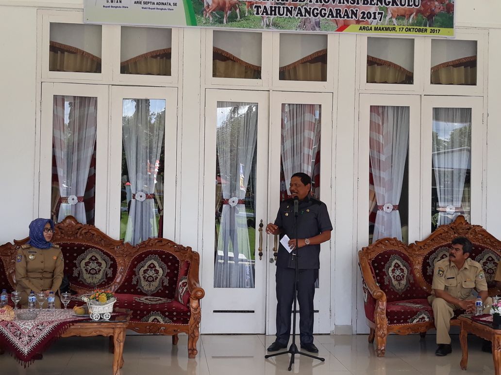 Jadikan Bengkulu Utara Pusat Perkembang Biakan Sapi Unggulan