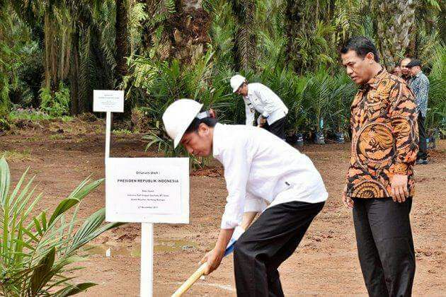 Presiden Joko Widodo, tanam Sawit di Sergai