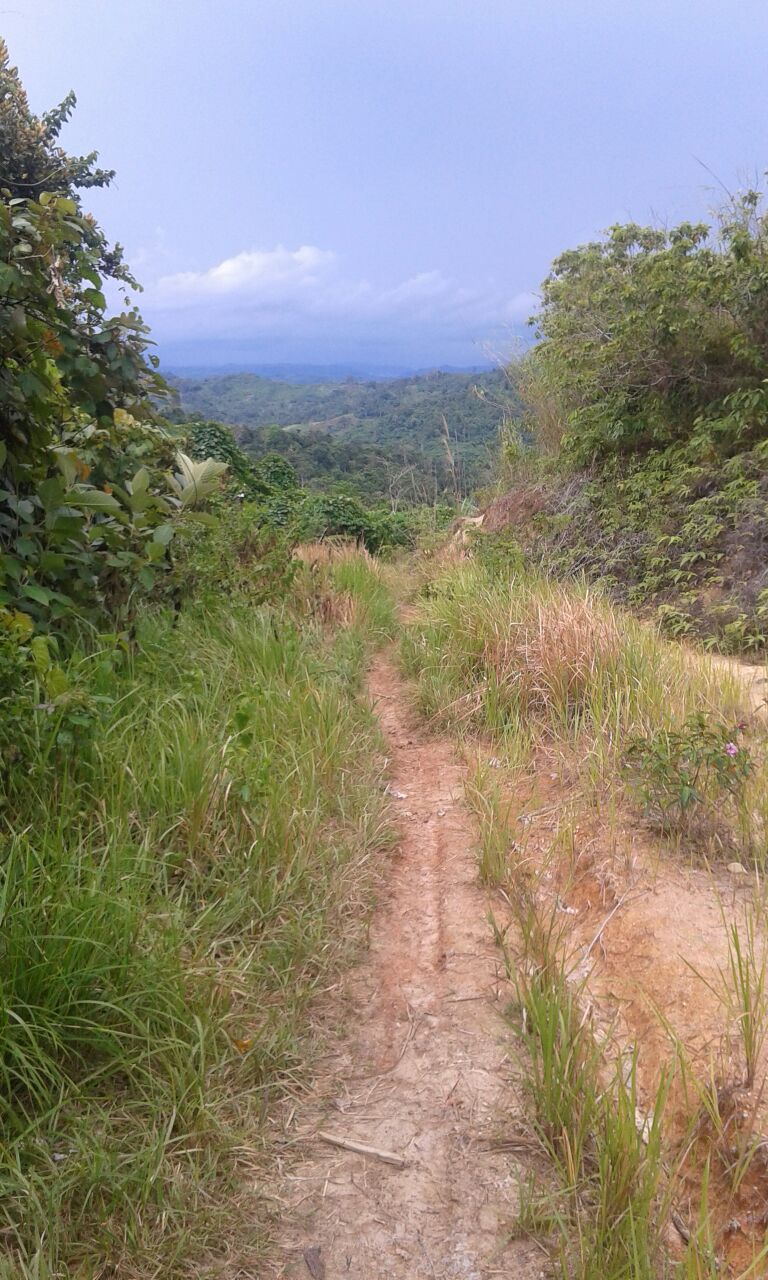 Tampak Jalan yang dibiarkan tidak ada sama sekali pembangunan