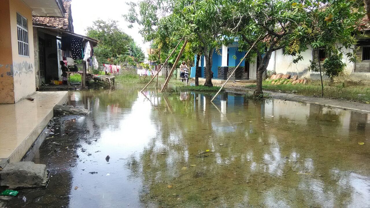 Tampak Genangan Air masih merendap Sekitar Rumah Warga