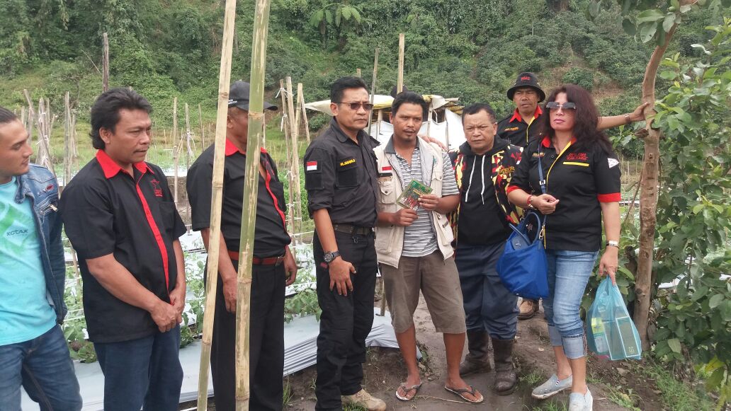 Penyerahan bantuan benih tomat di lahan pertanian desa perbaji oleh jajaran pengurus DPD PMS Karo.