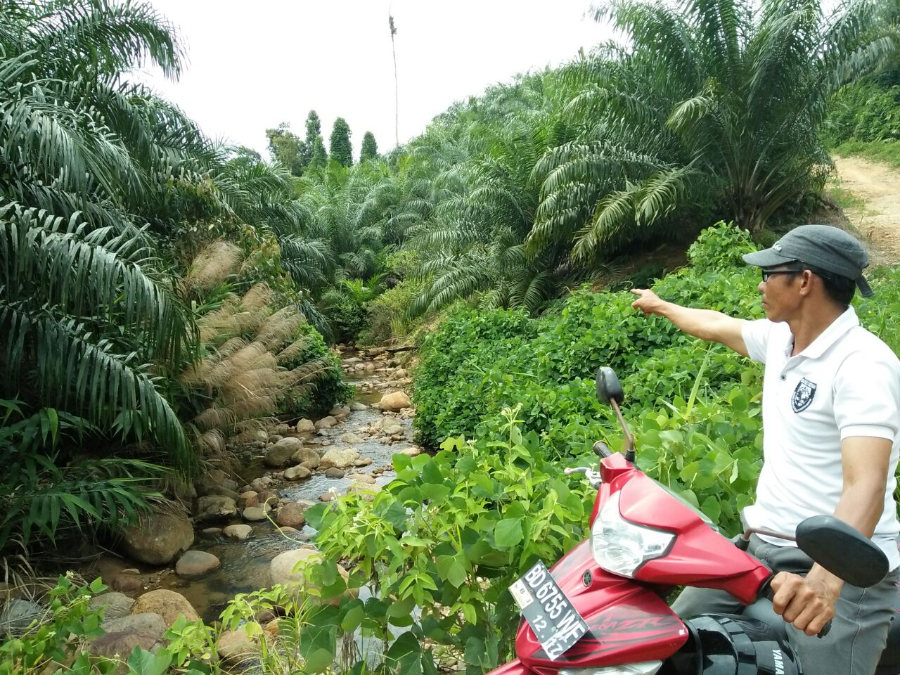 Warga