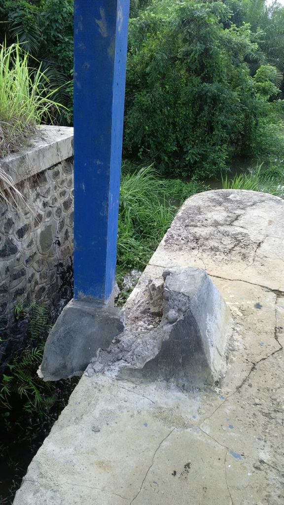 pict 1