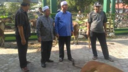pict 2