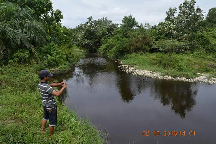 Limbah