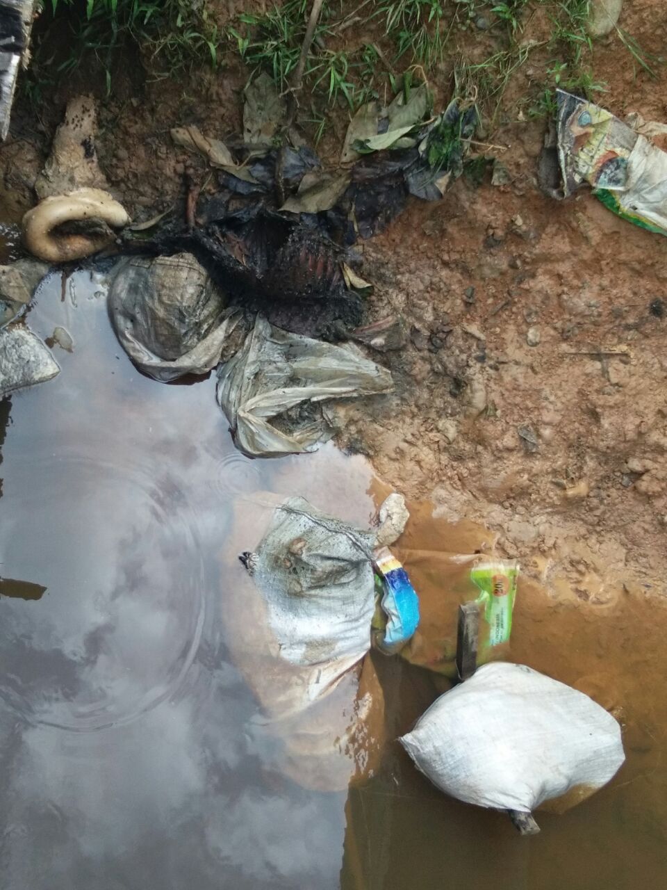 Sungai