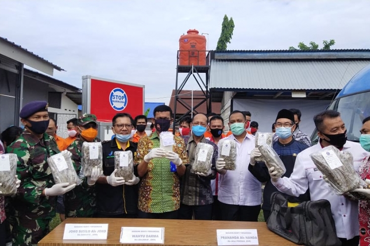 BNNP Bengkulu Musnakan Belasan Kilo Ganja dan Ratusan Gram Shabu