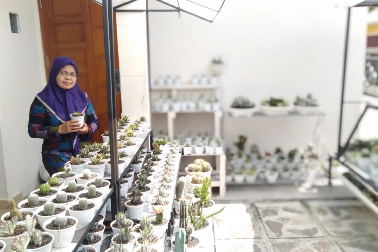 Penjual Kaktus Ini Hasilkan Jutaan Rupiah di Masa Pandemi Covid-19