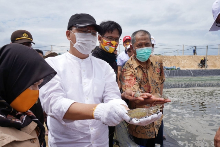 Permudah Perizinan Upaya Jitu Gubernur Rohidin Kembangkan Potensi Kemaritiman