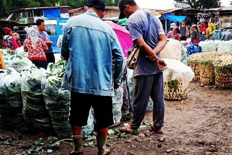 Pantauan di Pasar Kabupaten Karo Berikut Harga Sayur-mayur