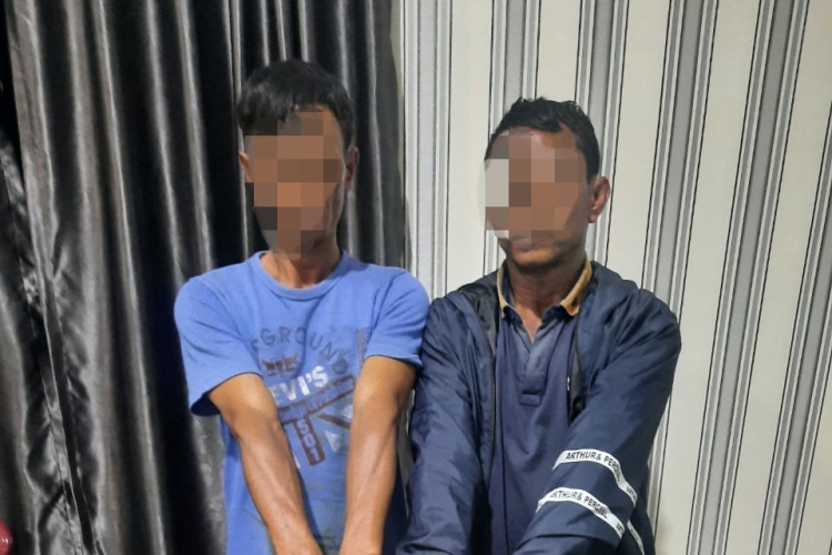 Polres Tanah Karo Ciduk Agen Dan Pemilik Pohon Ganja 