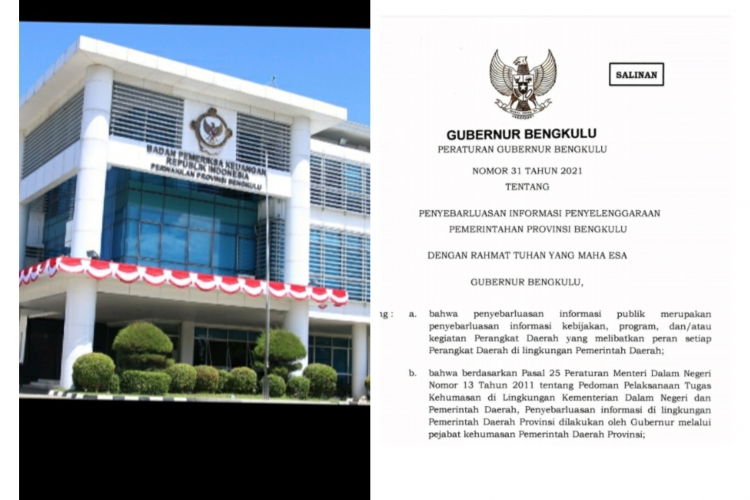 Realisasi Anggaran Publikasi Pemprov BPK Ingatkan PPTK Patuhi Aturan yang Ada