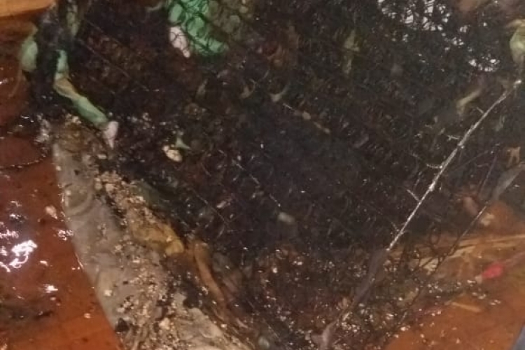 Tampak Puing Sisa-sisa kebakaran 