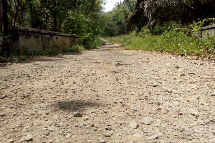 Bupati Mian 'Abaikan' Jalan Penghubung Antar Desa