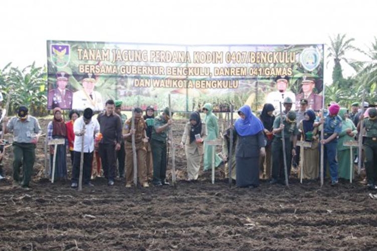 Walikota Bengkulu saat Gerakan Tanam Jagung Hibrida bersama pemerintah provinsi, Danrem, Dandim, Lanal, Camat dan Lurah serta petani di Kelurahan Kandang Mas, Kecamatan Kampung Melayu.