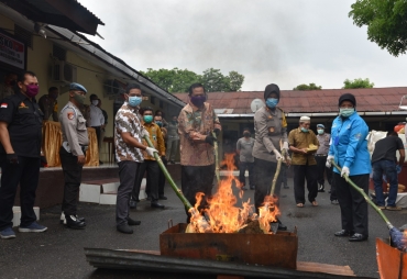 Polres Sidimpuan Musnahkan 249 Kilogram Ganja Kering