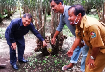 Bupati Karo Apresiasi Semangat Petani Salak