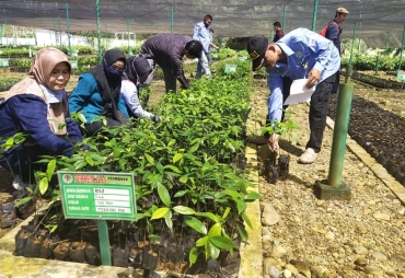 MC3 dan GIAN Tanam 10.000 Pohon