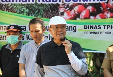 Peroleh Kuota 15.000 Ha Gubernur Rohidin Dorong Produksi Kelapa Sawit