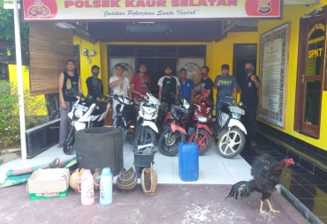 Polsek Kaur Selatan Bubarkan Judi Sabung Ayam