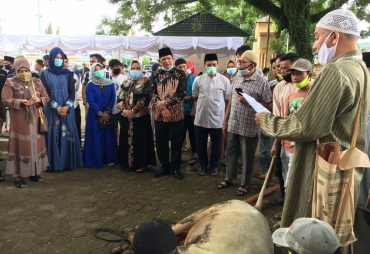 Idul Adha Pemkot Padangsidimpuan Sembelih 9 Ekor Hewan Kurban