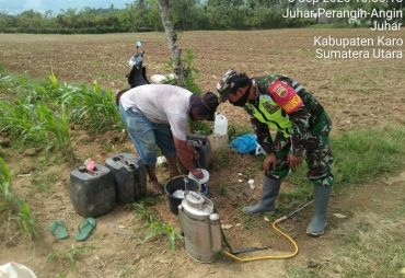 Korem 0205/TK Turunkan Babinsa Bantu Petani