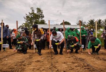 Walikota Padangsidimpuan Hadiri Penanaman Jagung Kodim 0212/Tapsel