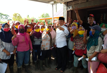 Singgah di Desa Barat Wetan Rohidin Berbaur Bersama Pemetik Teh