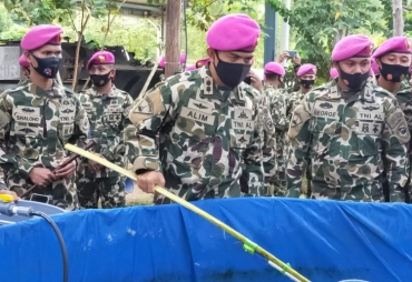 HUT Ke-75 Batalyon Infanteri 10 Marinir Gelar Panen Udang