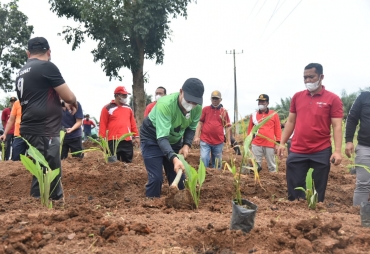Bupati Batu Bara Giatkan Gotong Royong dan Penanaman Pohon Pendamping Beras